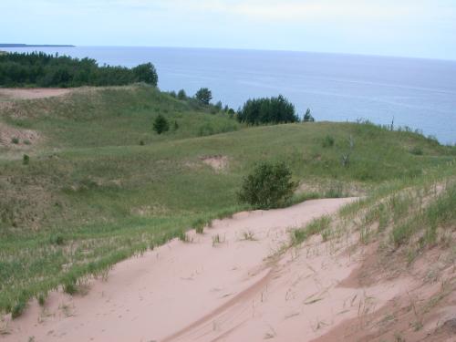 Top of dunes with grass and trees.