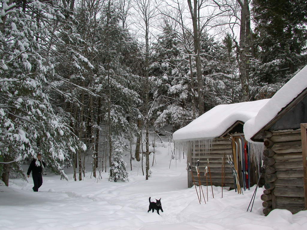 Bill and Scozi with the scenery around the cabin after the snowfall.