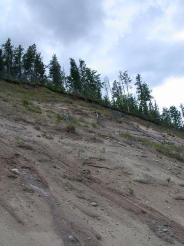 Looking up the dunes from the beach.