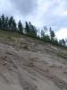 Looking up the dunes from the beach.