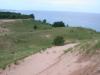 Top of dunes with grass and trees.