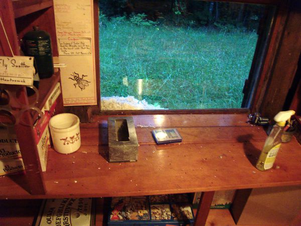 Empty Kleenex box INSIDE the cabin with the nest visible
		  on the other side. There are clear signs of mouse
		  presence.... I'm not quite sure how the Kleenex got
		  transported from inside to outside the Cabin.