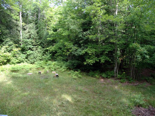 View north from the Cabin.