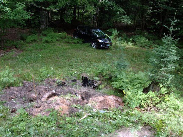 View north of the Cabin showing the stump and my car.