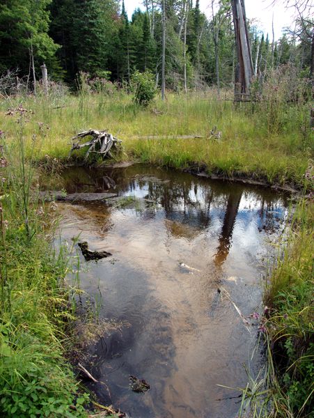 River behind the Cabin.