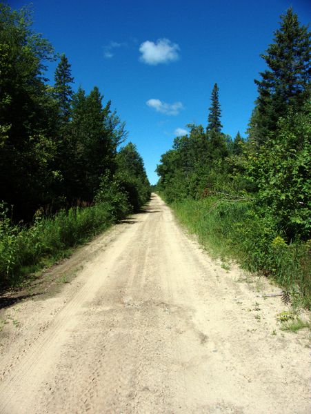 A view of McCloud Grade. This shows the width of the road
		  and the beautiful weather.