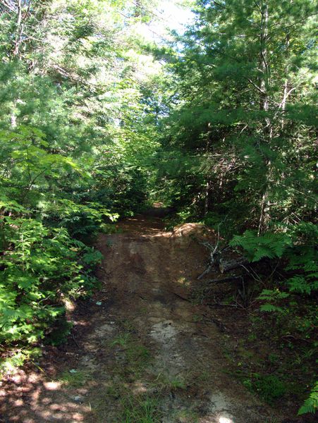 Earth berm built on the road from McCloud Grade toward
		  the Barfield Lakes. I presume this is to stop vehicles
		  from using it. There were a few such constructions on the
		  road.(There is only a small, pedestrian bridge at the
		  river there must be crossed).