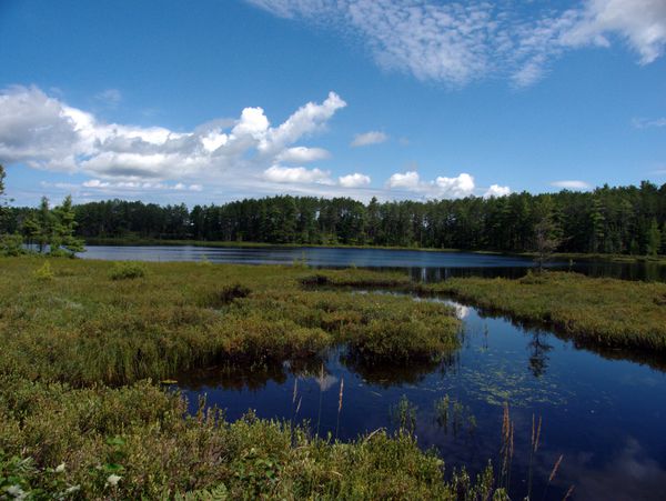 One of the Barfields lakes as seen from the road that
		  runs by it.