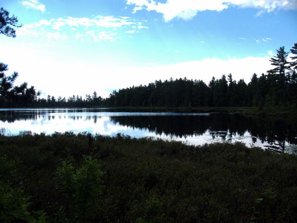 Looking back across the larger of the Barfield lake.