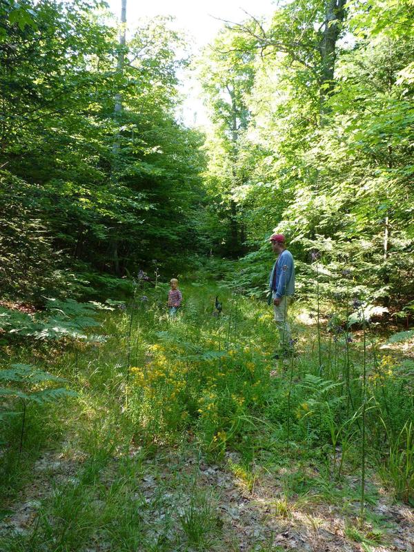 Bill and Frankie hiking the loop.