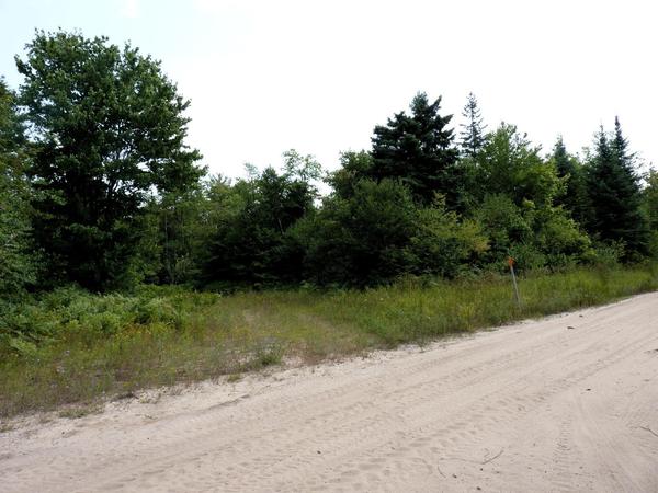 The trail I hiked.  This is the third "road" at the intersection of McCloud Grade and Old Seney.