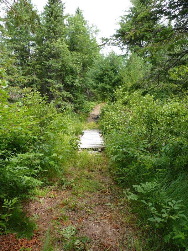 Bridge on the trail to the Barfield Lakes.