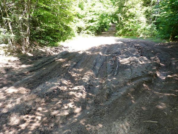 Another muddy area that had been flooded the year before.