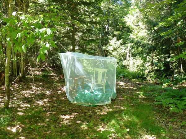 Simple screened in shelter that once wonderfully kept the bugs away.