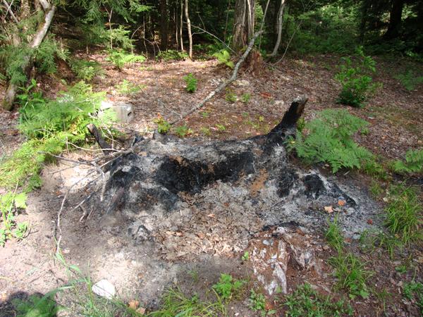 Fire pit/stump burning state.