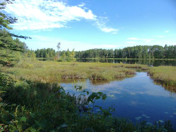 Barfield lakes.