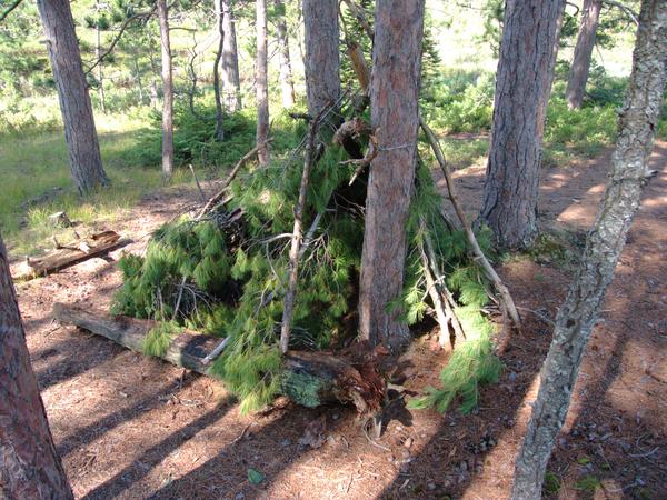 A "shelter" near the Barfield lakes.