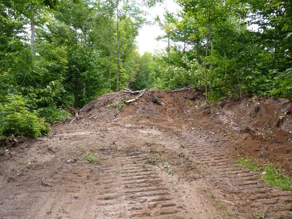 Berm blocking vehicle access to the recently logged area.