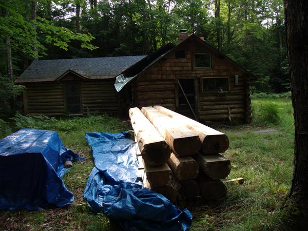 Logs waiting to rebuild the wall of the cabin in the background.