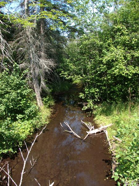 Harvey Creek as seen from a bridge in the woods.