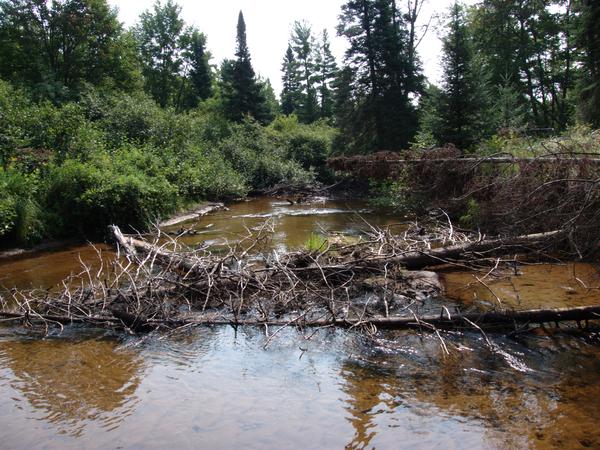 The Sucker River.