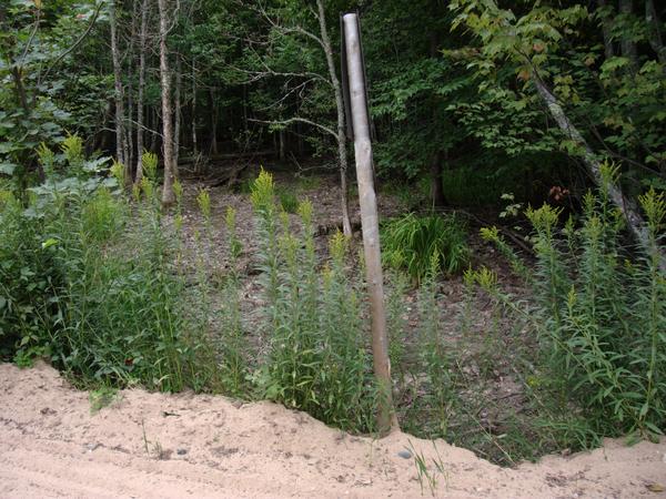 Area off McCloud grade that typically contains water, sometimes so much that it floods the road.