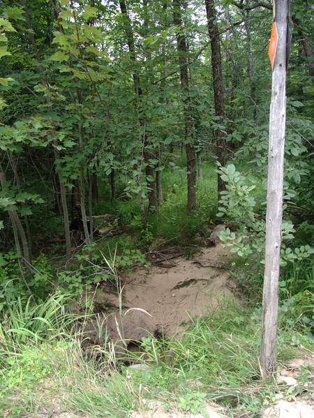 Drainage river off McCloud grade typically carrying water away.