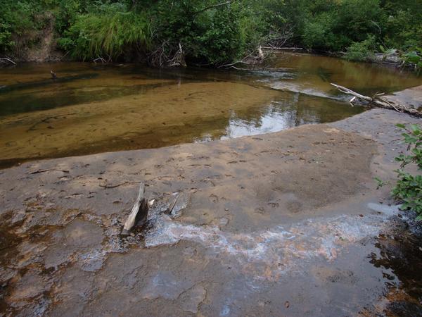 Although I got to the area by wander through the trackless woods and thus thought it was remote, there were plenty of existing tracks on sand shoal by the bank.  (Presumably from fishermen in waders.)