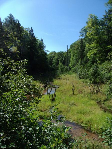 Harvey creek from the bridge on the "big loop".