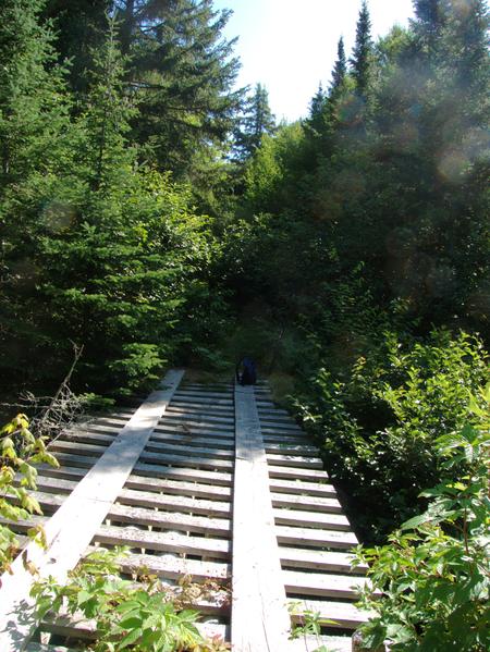 The bridge over Harvey creek on the "big loop".