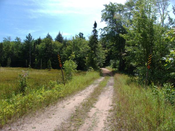 Road on snowmobile route 433 running next to the open field of wild flowers.