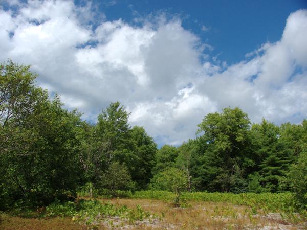 View along Whitewash road.