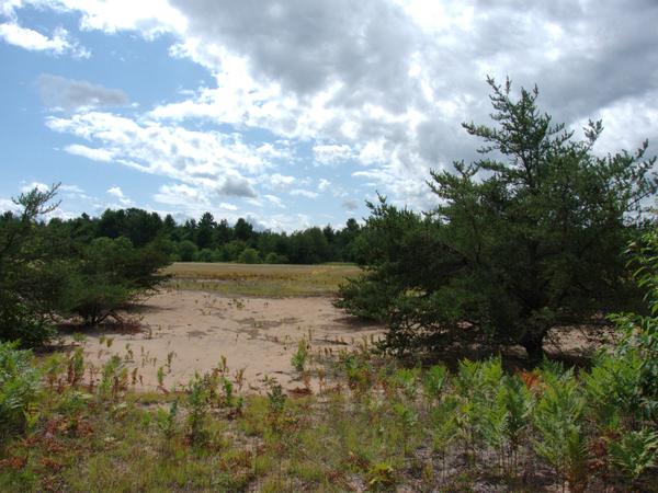 Grand Marais airport runway. Yellow runway markers can be seen.