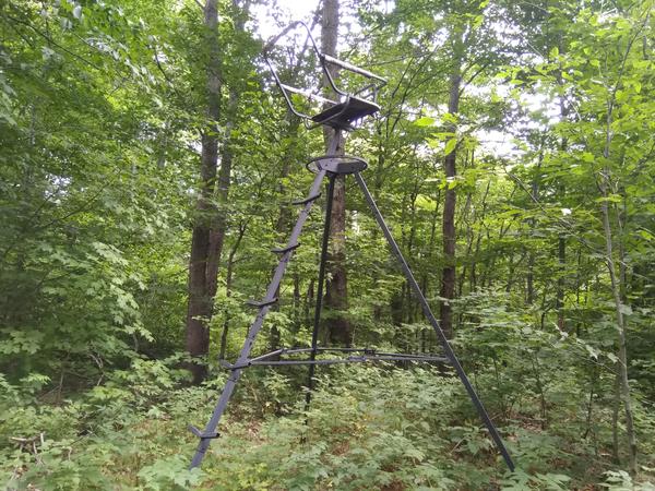 Hunting stand in the woods.