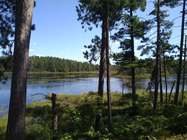 At Barfield lakes.