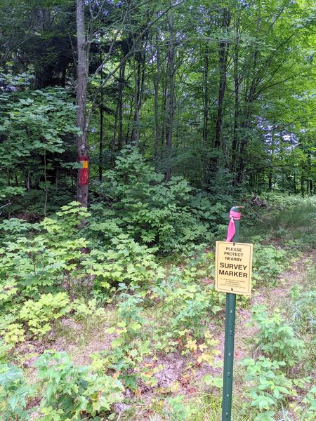 Survey marker at the Alger and Luce County border.