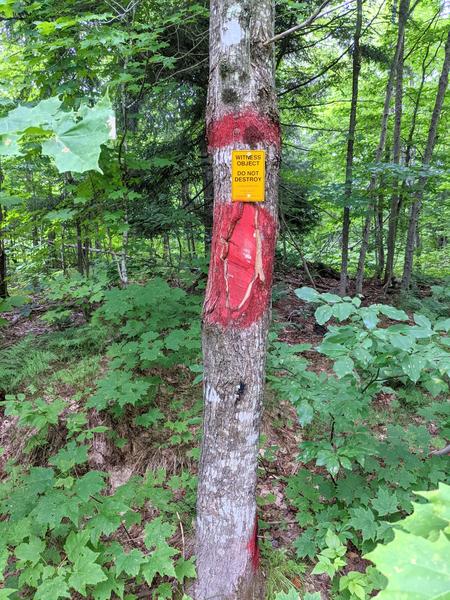 Survey marker at the Alger and Luce County border.