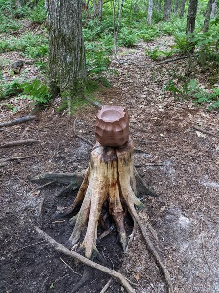 Strange sculpture(?) in the woods.