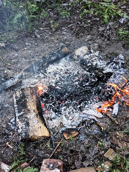 Foil pack dinners in the coals.