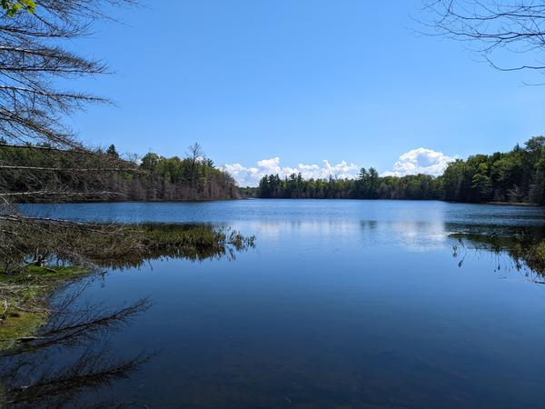 North west arm of Mitchell Lake.