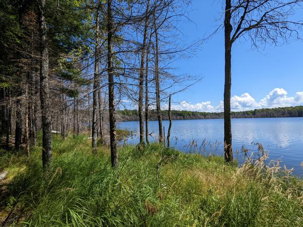 View of Mitchell Lake from the camp.