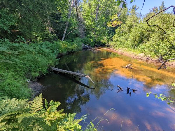 Sucker River.