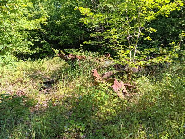 Ruined railroad car along the logging roads on the other side of McCloud Grade.