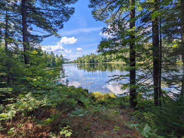 View of Kennedy Lake from Possum Lodge.