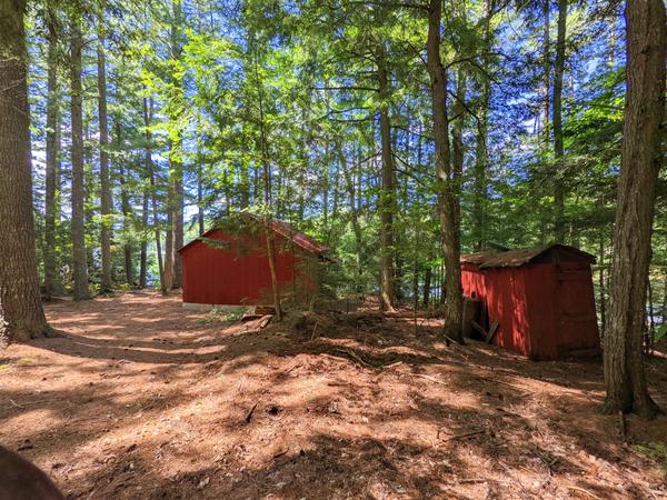 Possum Lodge in lovely pine forest next to Kennedy Lake.