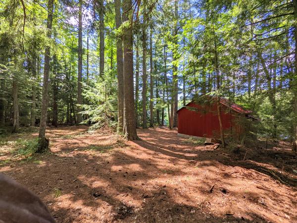 Possum Lodge in lovely pine forest next to Kennedy Lake.