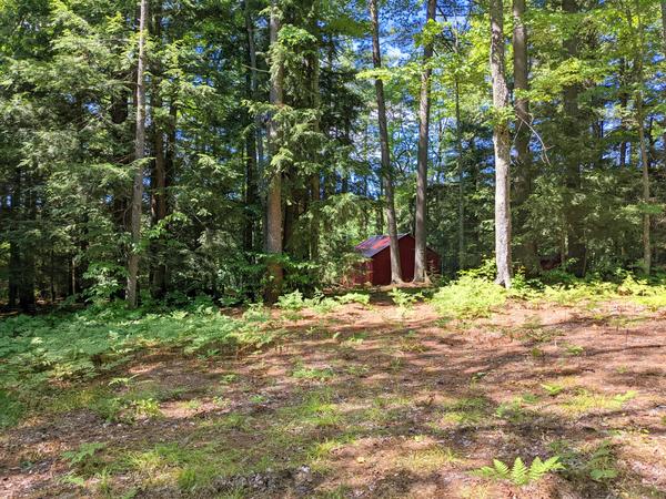 Possum Lodge in lovely pine forest next to Kennedy Lake.