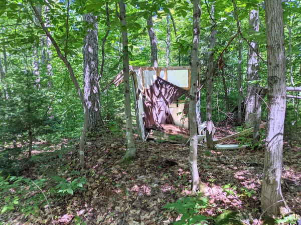 Old deer blind(?) in the woods.