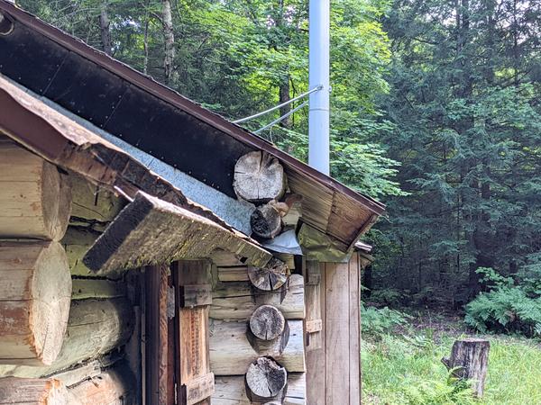 Red squirrel that likes to chew on the Cabin (and maybe get inside?)