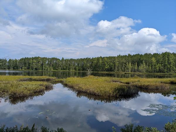 Barfield Lakes.